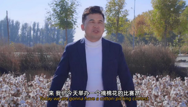 万人说新疆 | 新疆棉花知多少？网红团队“石榴熟了”告诉你