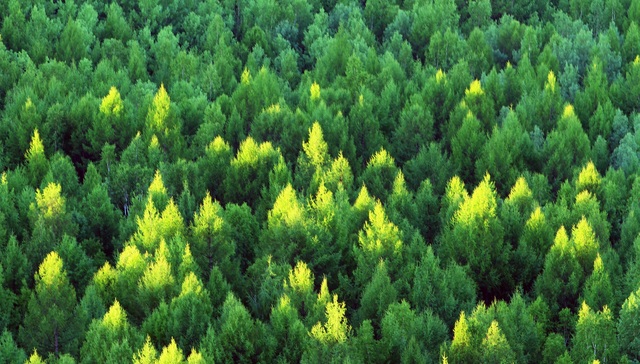 从区域发展到产业调整，“双碳”顶层设计文件如何影响衣食住行？