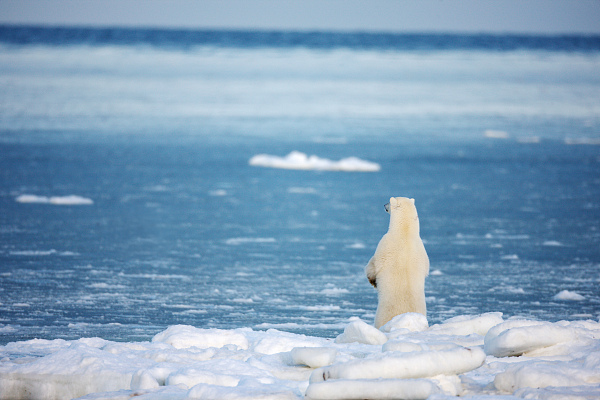 国务院新闻办发表《中国应对气候变化的政策与行动》白皮书