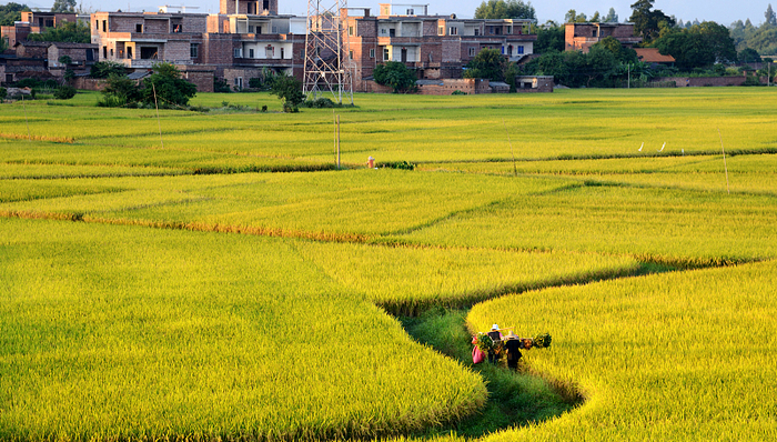 四川一社区886户仅256人？镇政府：少了个0