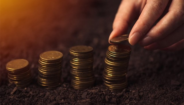 如何缩小城乡收入差距？党国英：兼业是提高农民收入的重要方法