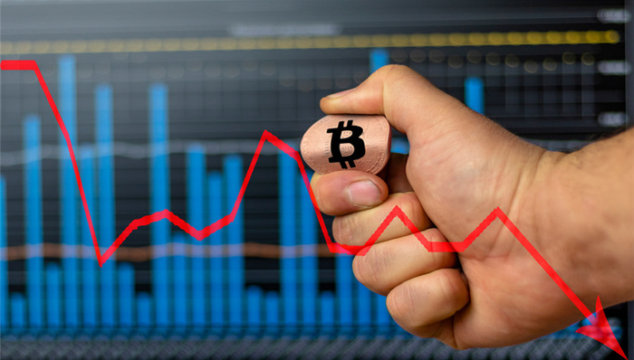 唐人神，猪肉价格，养猪，股价大跌，肉价