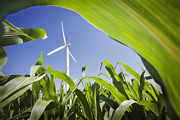 【ESG先锋谈】罗兰贝格合伙人许季刚：双碳顶层设计文件指明了哪些行业转型机会