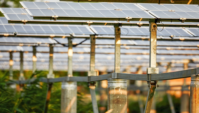 斥资36.5亿，光伏玻璃龙头福莱特购入两大石英岩矿