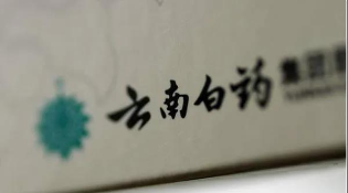 云南白药,炒股,亏损