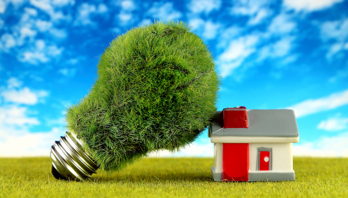 世界，城市日，上海，建筑，绿色