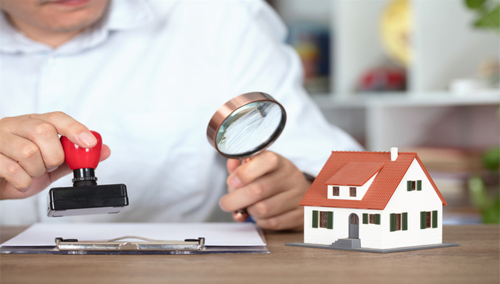 雷迪克，内幕交易，立案调查，踩雷