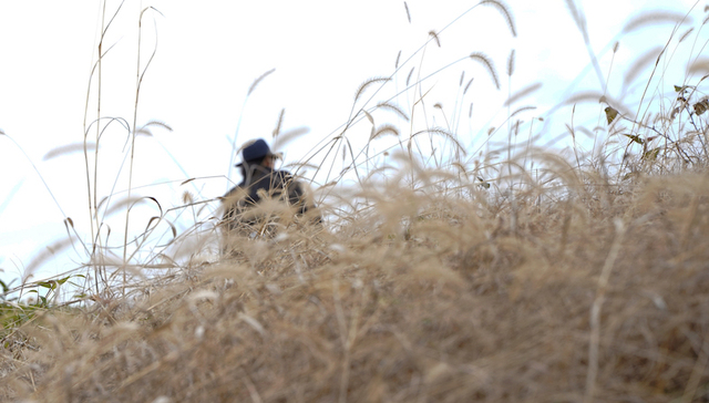当“大地艺术节”来到中国浮梁，它将如何助力乡村建设？ | 向往的乡村 ①