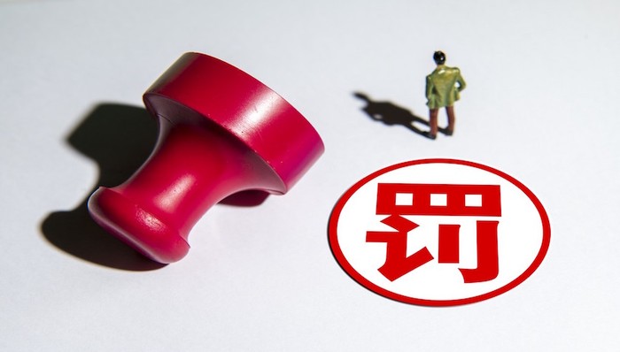 新东方,教育,K12教育,行政处罚