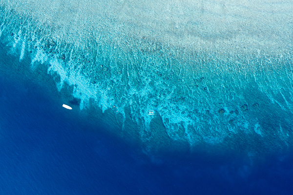 锂硫电池、太阳燃料和蓝碳：顶尖科学家们在研究哪些减碳新技术