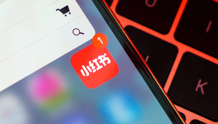 移动电商,商业模式,小红书,种草,淘宝,京东,抖音,快手