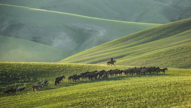 文旅100人 | 原锡林郭勒盟文旅局局长乌日图那顺：构建具有独特文化吸引力的自驾游玩线路