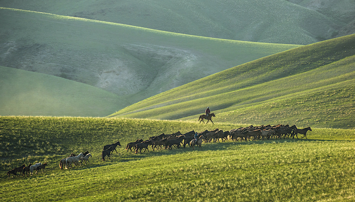 文旅100人 | 原锡林郭勒盟文旅局局长乌日图那顺：构建具有独特文化吸引力的自驾游玩线路