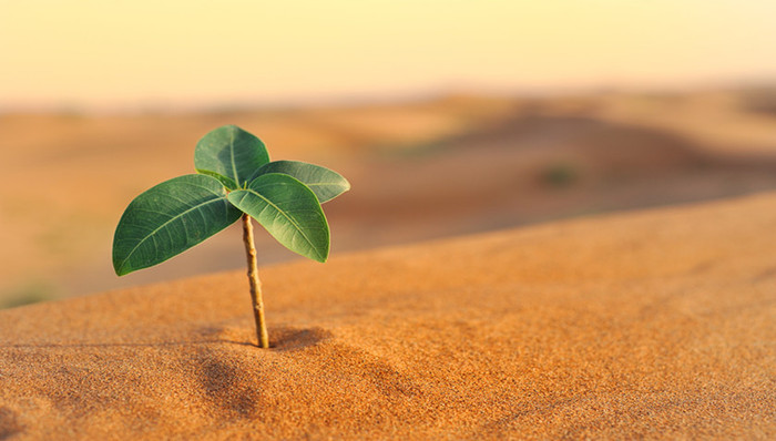 白酒股低迷迎驾贡酒却创新高，上涨背后的逻辑是什么？