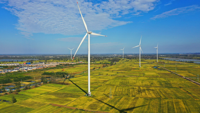 王敏：不必因为“双碳”目标而限制能源需求