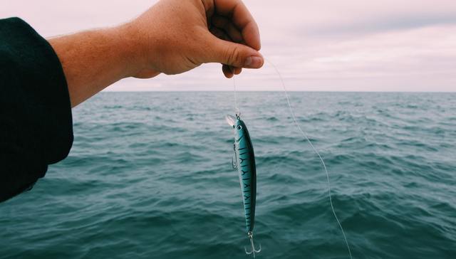 钓鱼,中年人,产业链