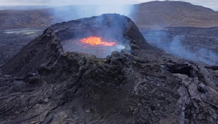 环保,气候变化,灭绝