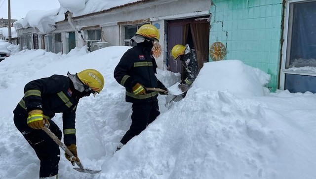 暴雪致东北农牧养殖业损失惨重，农业保险理赔受关注