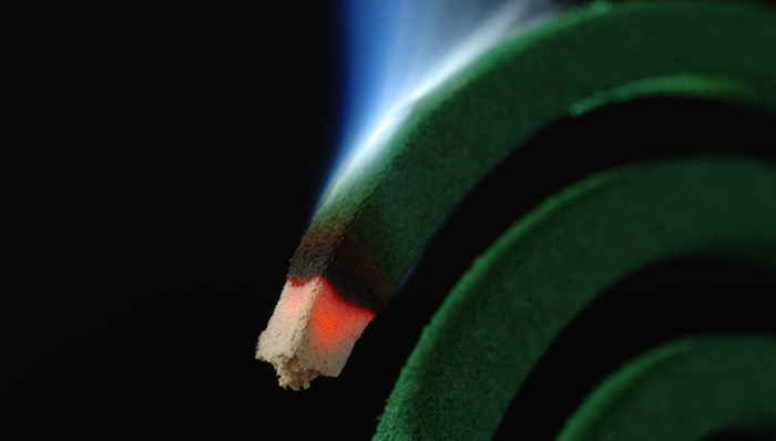 朝云集团,宠物产品,差异化竞争