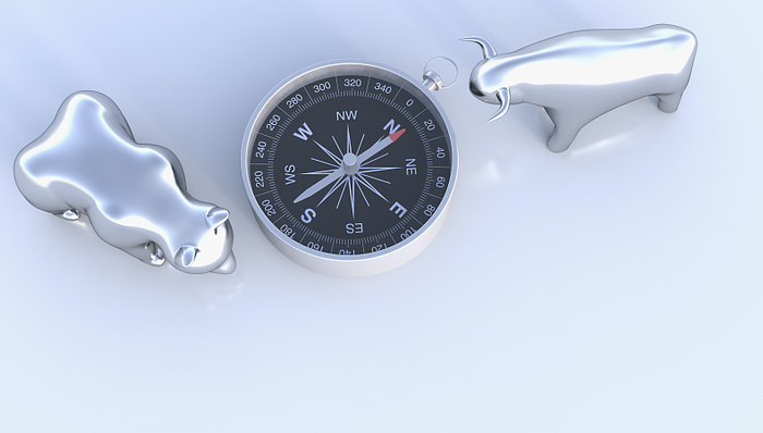 逐鹿高端的“新猎手”