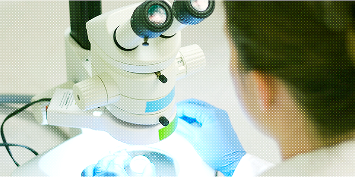 百济神州,医药,IPO