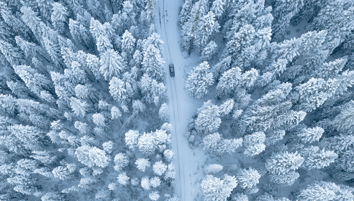 新能源汽车,电动车,东北,销量,低温