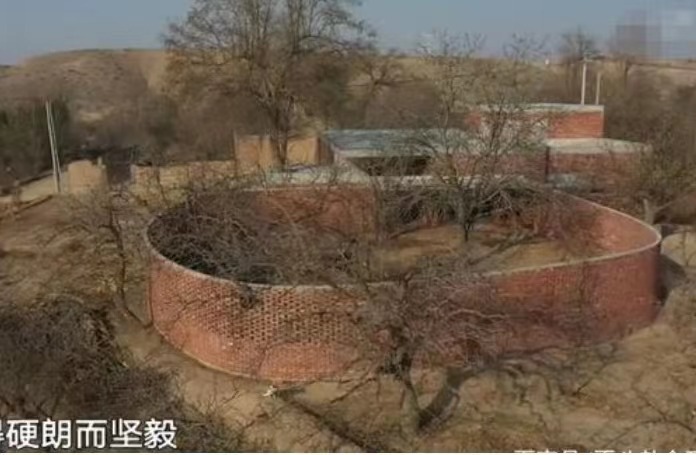 家居，设计，网上热议