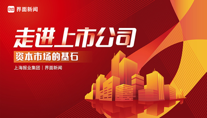 【走進上市公司】：資本市場的基石