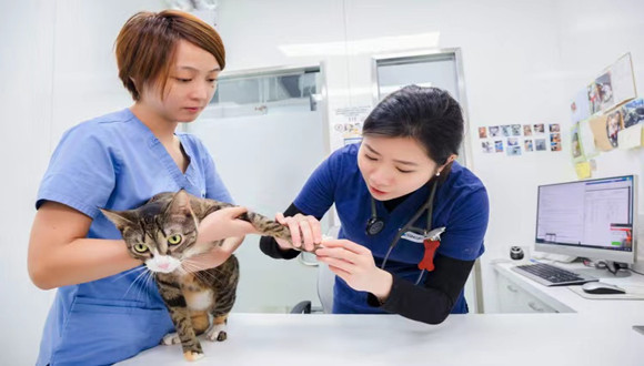 官宣！平安产险与新瑞鹏开展全方位合作，持续构建“保险+医疗”生态