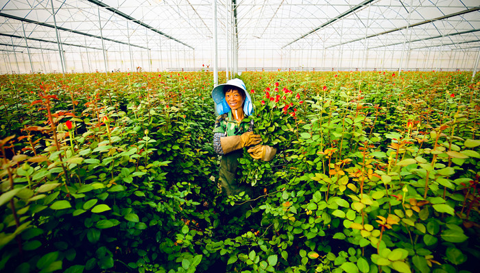 BOSS直聘三季报超预期：中小企业普惠模式带来强劲韧性