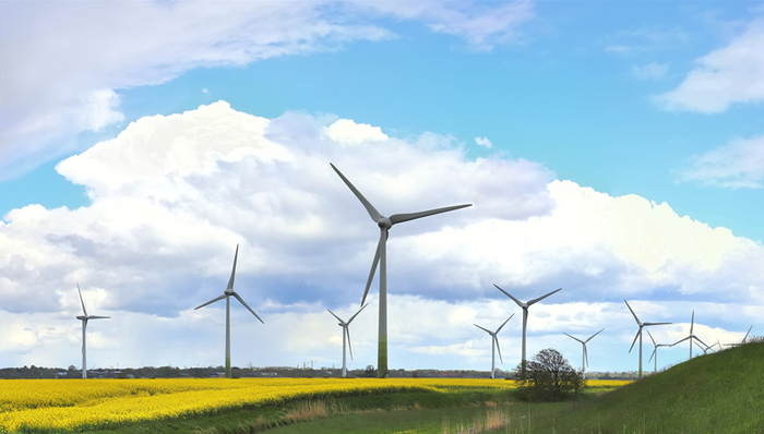 股价,风电,减持