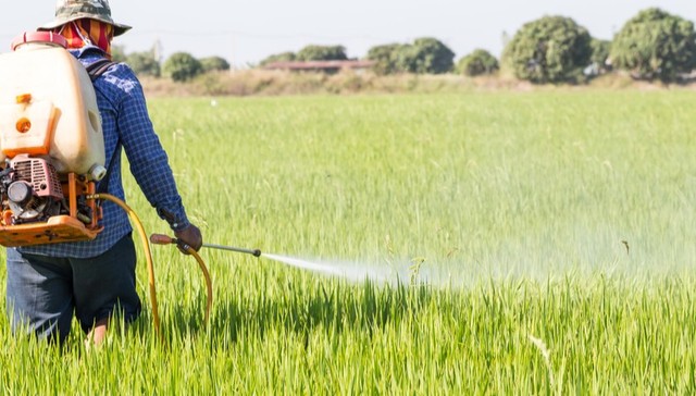 福华通达百亿资产借壳“梦碎”，江山股份连吃两个一字跌停，还要跌多久？