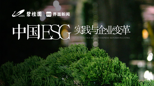 碧桂园为何这么稳，看看它的ESG中公司治理举措就懂了