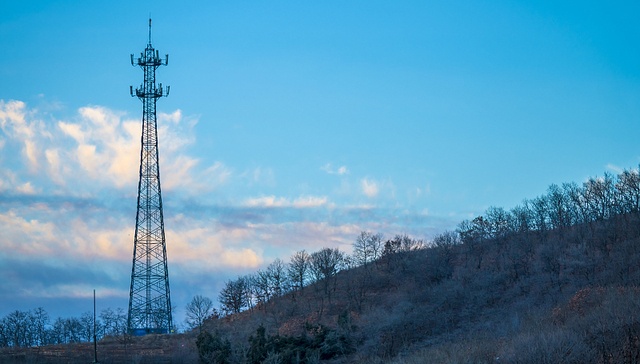 WTO、华为、运营商