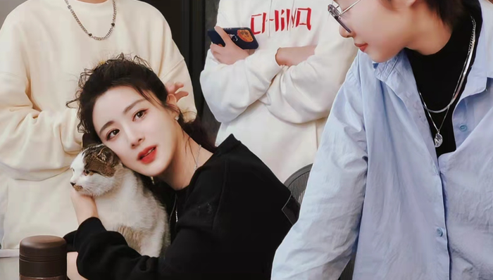 头部主播,业绩压力,流量,商业价值