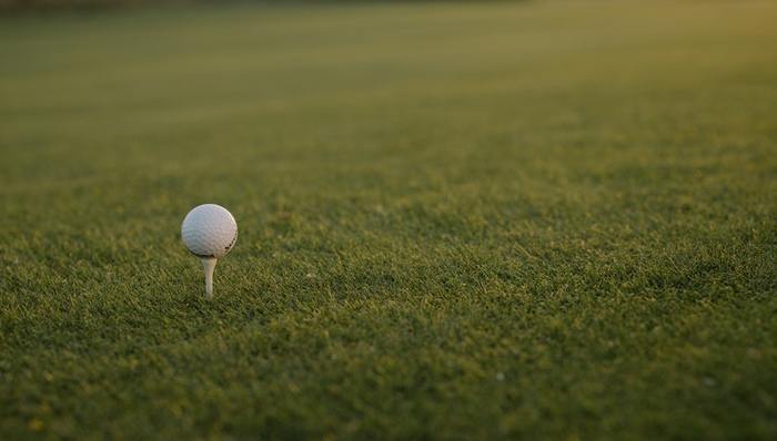 体育培训,小众赛道