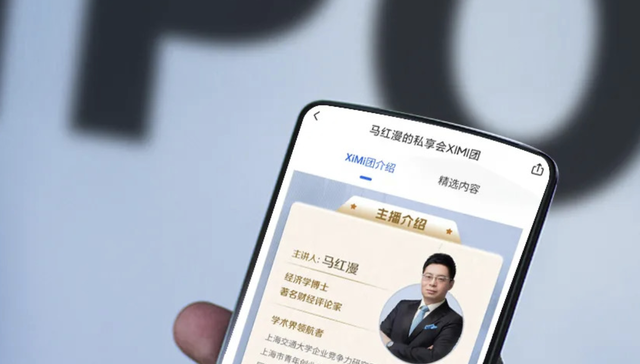 马红漫,投资,财报