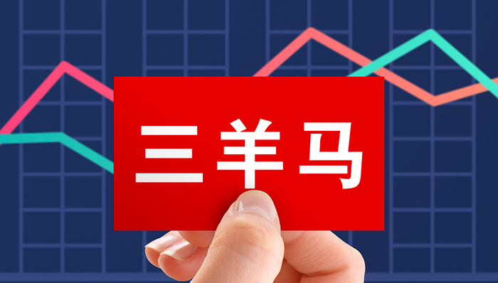 12连板、股价翻4倍，三羊马的公铁联运这么香？