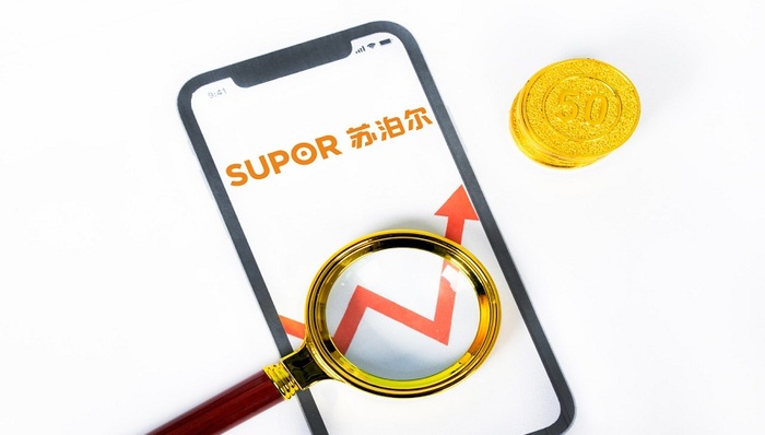 苏泊尔,股权激励,关注函,利益输送