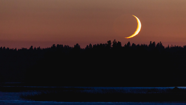 日本诗人萩原朔太郎：我想把我自己忧郁的影子，钉在月夜的土地上 | 一诗一会