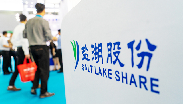 盐湖股份,投资,非法采矿