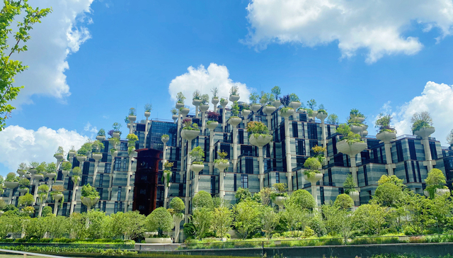 上海,普陀,天安千树,地标