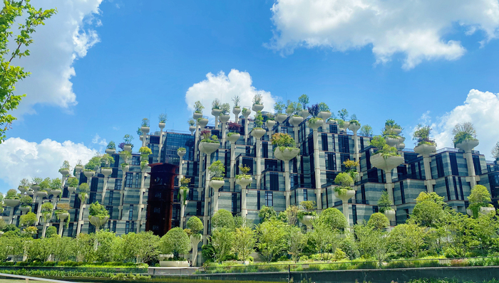 上海,普陀,天安千树,地标