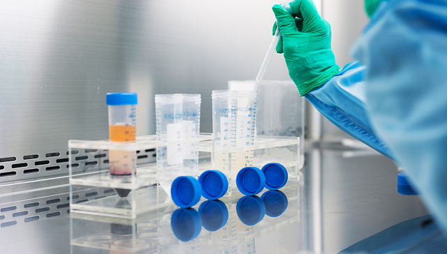 研发,临床,涨停,问询