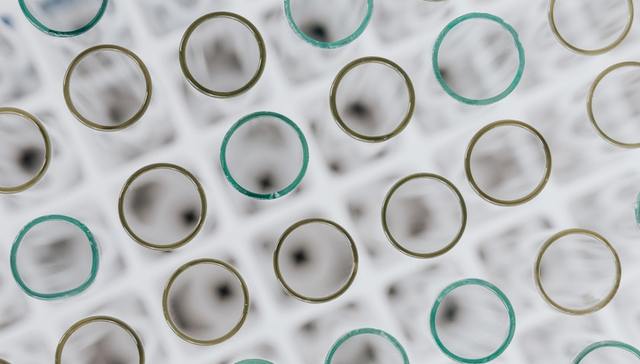 博日科技,核酸检测