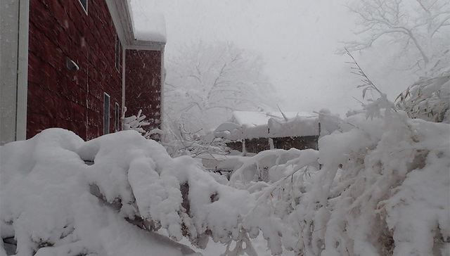 暴雪导致光伏电站坍塌，露笑科技今年业绩将受损