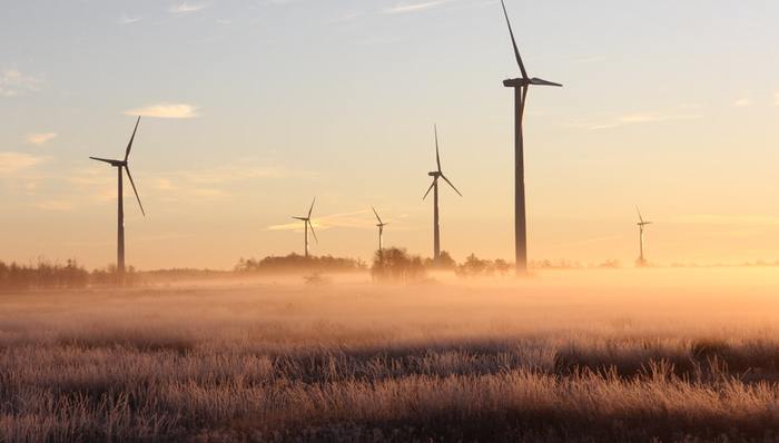 创始人去世,毛阿敏,中植集团