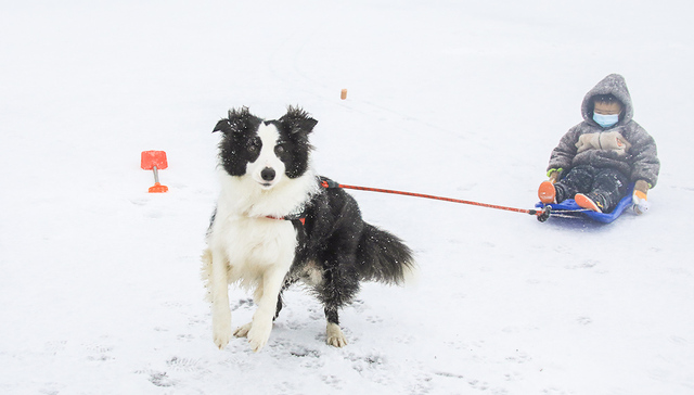 【图集】2021压轴寒潮来袭，南方迎最强降雪，长沙积雪超9厘米