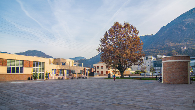 中财绿金院碳双周刊：大宗商品价格持续下跌、首座大型二氧化碳循环发电机组投运