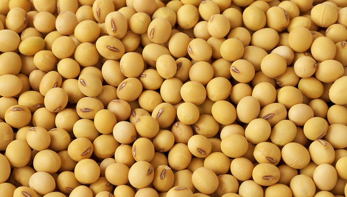 农业农村部强调扩种大豆油料，“大豆振兴”任重道远